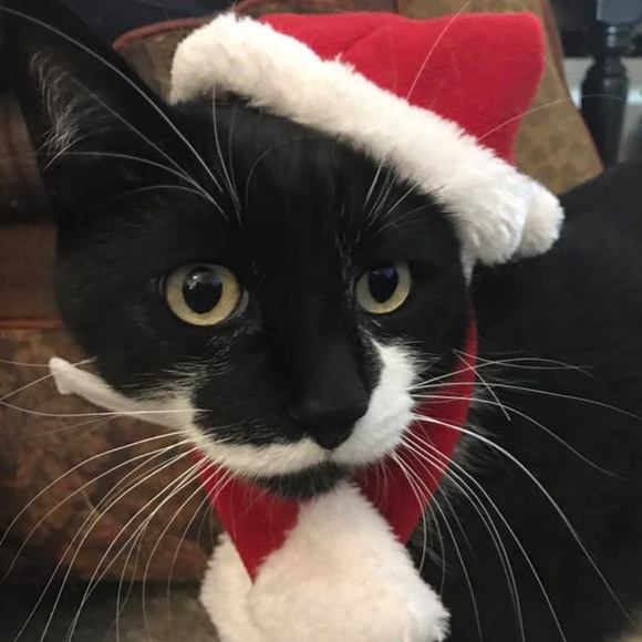 Meet your Posher, Jessica - Picture 3 of 4